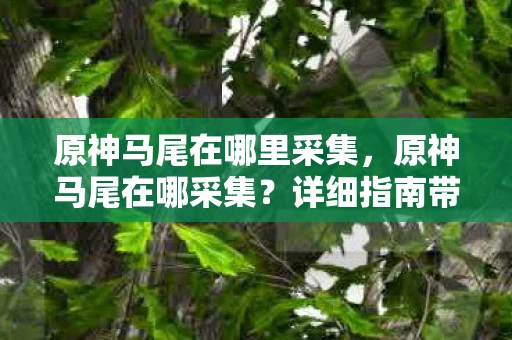 原神马尾在哪里采集,原神马尾在哪采集?详细指南带你找到所有马尾位置 原神马尾在哪里采集,原神马尾在哪采集?详细指南带你找到所有马尾位置