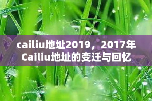 cailiu地址2019，2017年Cailiu地址的变迁与回忆