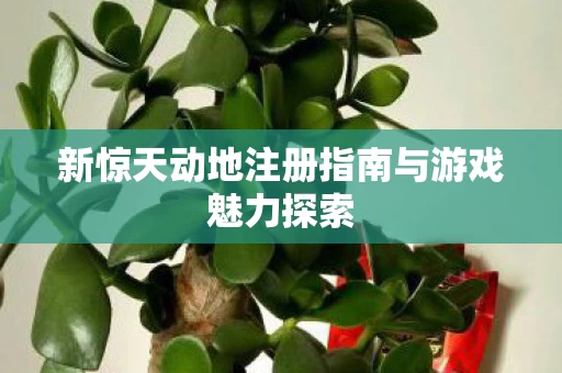 新惊天动地注册指南与游戏魅力探索图片