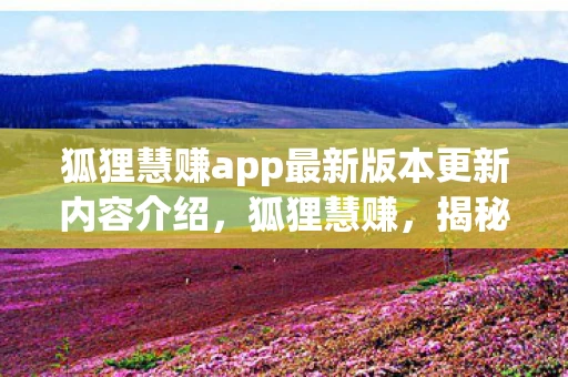 狐狸慧赚app最新版本更新内容介绍,狐狸慧赚,揭秘互联网营销中的智慧与策略 狐狸慧赚app最新版本更新内容介绍,狐狸慧赚,揭秘互联网营销中的智慧与策略