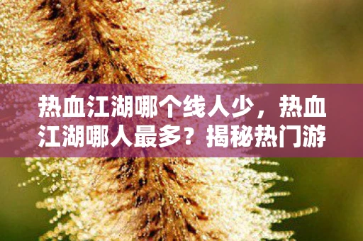 热血江湖哪个线人少，热血江湖哪人最多？揭秘热门游戏热血江湖的热门区域与玩家分布
