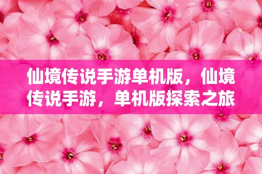 仙境传说手游单机版，仙境传说手游，单机版探索之旅