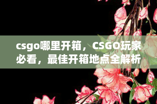 csgo哪里开箱，CSGO玩家必看，最佳开箱地点全解析