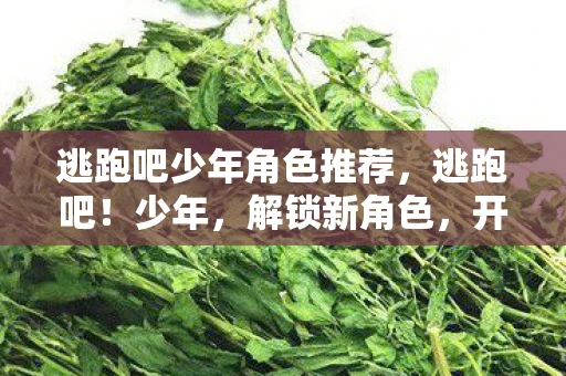 逃跑吧少年角色推荐，逃跑吧！少年，解锁新角色，开启冒险之旅