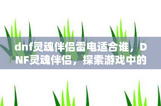 dnf灵魂伴侣雷电适合谁，DNF灵魂伴侣，探索游戏中的深厚情感