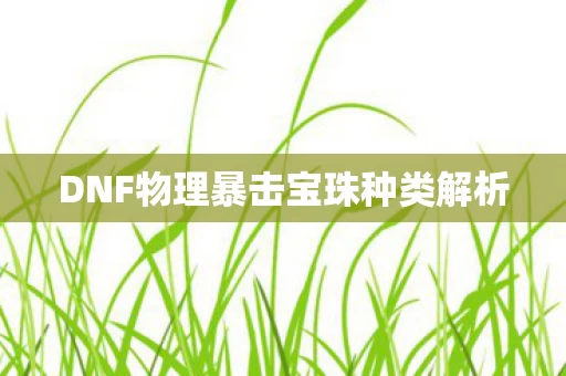 DNF物理暴击宝珠种类解析图片