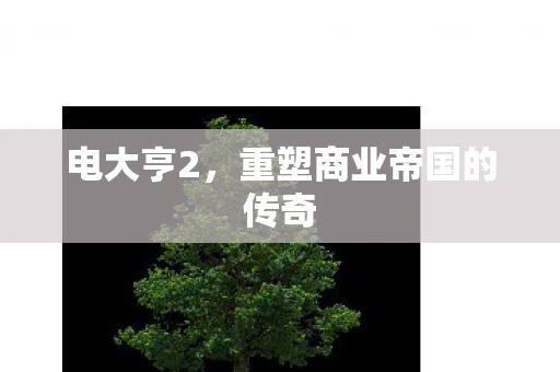 电大亨2,重塑商业帝国的传奇 电大亨2,重塑商业帝国的传奇
