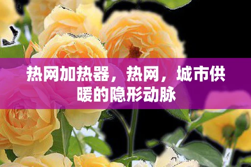 热网加热器,热网,城市供暖的隐形动脉 热网加热器,热网,城市供暖的隐形动脉