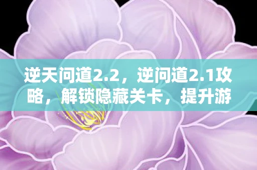 逆天问道2.2，逆问道2.1攻略，解锁隐藏关卡，提升游戏体验