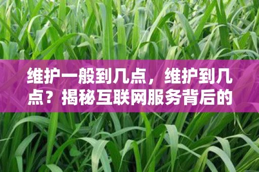 维护一般到几点,维护到几点?揭秘互联网服务背后的时间秘密 维护一般到几点,维护到几点?揭秘互联网服务背后的时间秘密