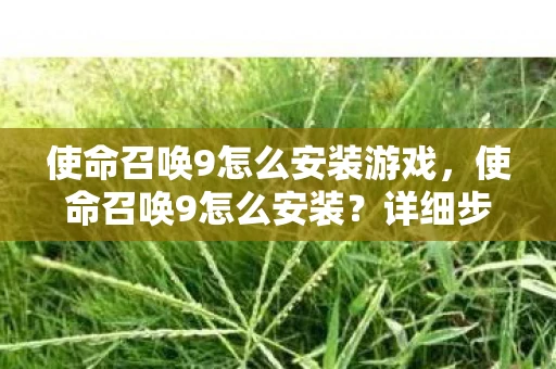 使命召唤9怎么安装游戏，使命召唤9怎么安装？详细步骤解析
