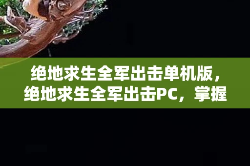 绝地求生全军出击单机版,绝地求生全军出击PC,掌握这些技巧,助你成为战场上的霸主 绝地求生全军出击单机版,绝地求生全军出击PC,掌握这些技巧,助你成为战场上的霸主