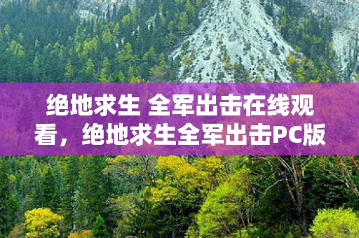 绝地求生 全军出击在线观看，绝地求生全军出击PC版，重塑经典，挑战极限