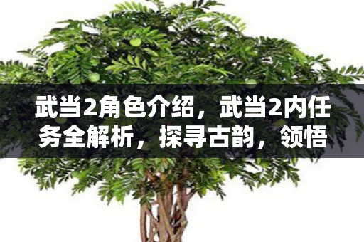 武当2角色介绍,武当2内任务全解析,探寻古韵,领悟太极 武当2角色介绍,武当2内任务全解析,探寻古韵,领悟太极