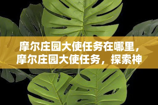 摩尔庄园大使任务在哪里，摩尔庄园大使任务，探索神秘岛屿，完成奇妙使命
