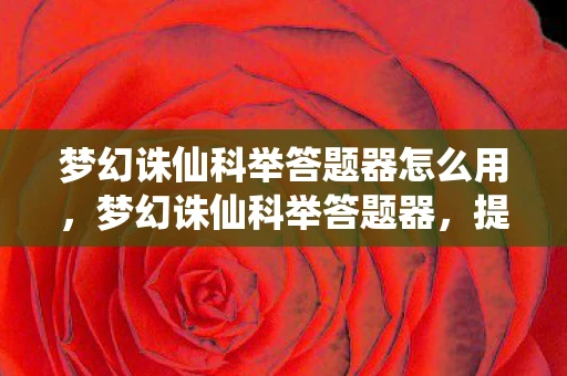 梦幻诛仙科举答题器怎么用,梦幻诛仙科举答题器,提升你的答题效率与准确率 梦幻诛仙科举答题器怎么用,梦幻诛仙科举答题器,提升你的答题效率与准确率