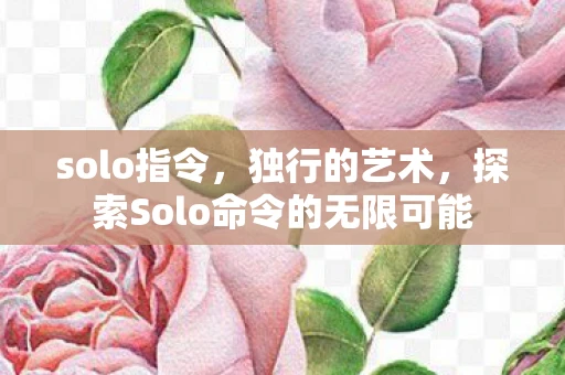 solo指令，独行的艺术，探索Solo命令的无限可能