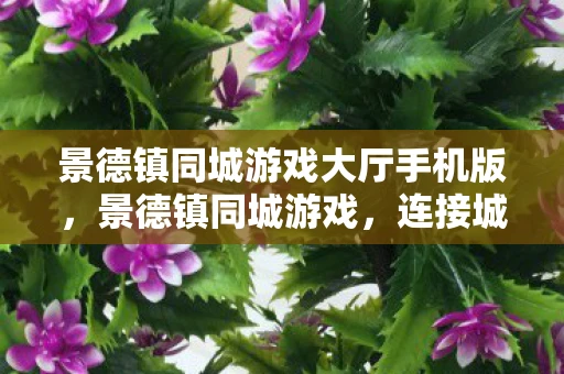 景德镇同城游戏大厅手机版，景德镇同城游戏，连接城市文化的桥梁