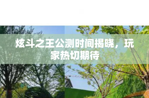 炫斗之王公测时间揭晓图片