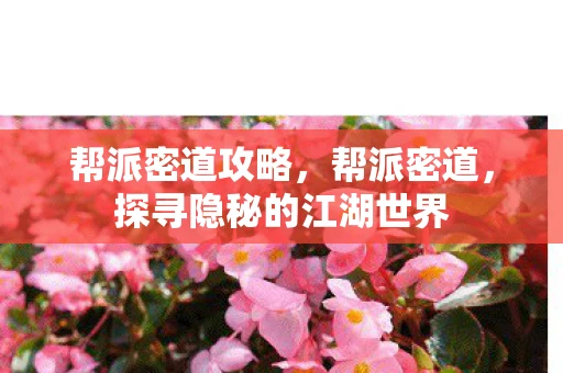 帮派密道攻略，帮派密道，探寻隐秘的江湖世界