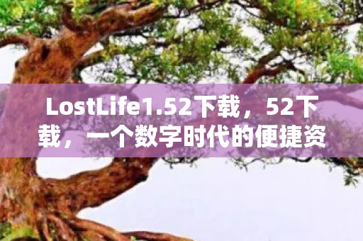 LostLife1.52下载,52下载,一个数字时代的便捷资源获取平台 LostLife1.52下载,52下载,一个数字时代的便捷资源获取平台