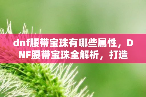 dnf腰带宝珠有哪些属性，DNF腰带宝珠全解析，打造最强装备，提升战斗力的关键