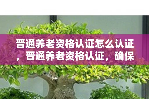 晋通养老资格认证怎么认证,晋通养老资格认证,确保养老金安全发放的数字盾牌 晋通养老资格认证怎么认证,晋通养老资格认证,确保养老金安全发放的数字盾牌