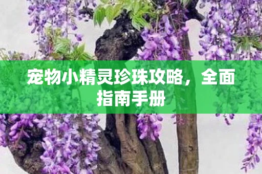 宠物小精灵珍珠攻略图片