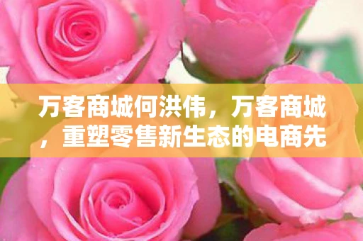 万客商城何洪伟，万客商城，重塑零售新生态的电商先锋