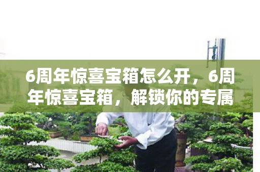 6周年惊喜宝箱怎么开，6周年惊喜宝箱，解锁你的专属回忆与未来