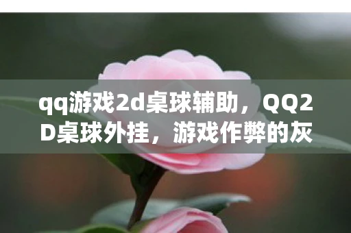 qq游戏2d桌球辅助,QQ2D桌球外挂,游戏作弊的灰色地带 qq游戏2d桌球辅助,QQ2D桌球外挂,游戏作弊的灰色地带
