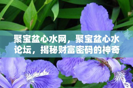 聚宝盆心水网，聚宝盆心水论坛，揭秘财富密码的神奇之地
