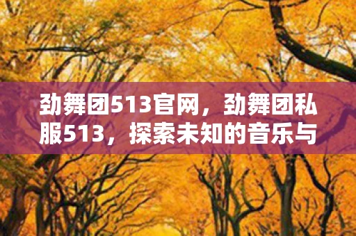 劲舞团513官网,劲舞团私服513,探索未知的音乐与舞蹈世界 劲舞团513官网,劲舞团私服513,探索未知的音乐与舞蹈世界