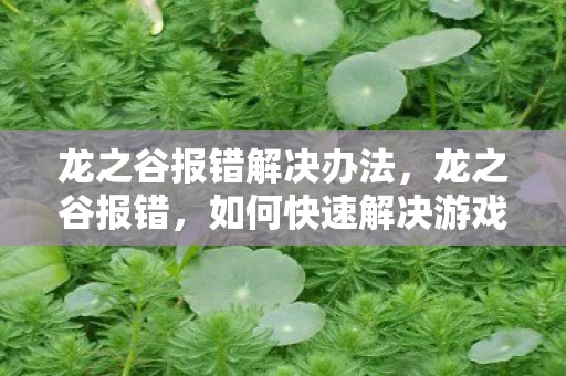 龙之谷报错解决办法,龙之谷报错,如何快速解决游戏常见问题 龙之谷报错解决办法,龙之谷报错,如何快速解决游戏常见问题