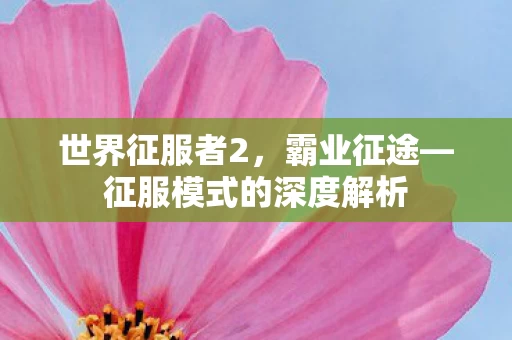 征服模式的深度解析图片