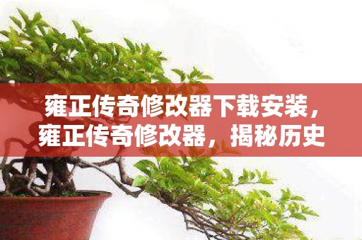 雍正传奇修改器下载安装，雍正传奇修改器，揭秘历史背后的神秘工具