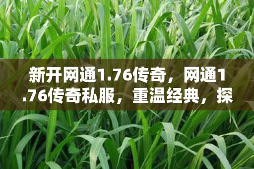 新开网通1.76传奇，网通1.76传奇私服，重温经典，探索未知