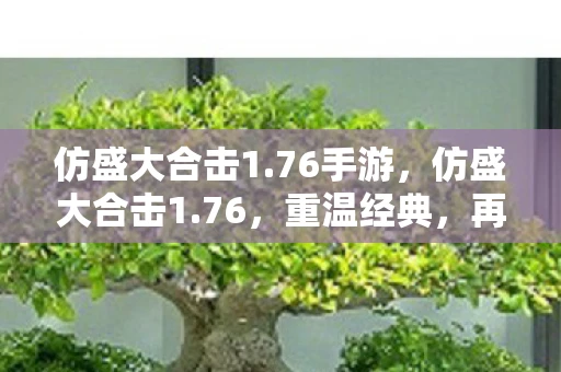 仿盛大合击1.76手游,仿盛大合击1.76,重温经典,再燃激情 仿盛大合击1.76手游,仿盛大合击1.76,重温经典,再燃激情