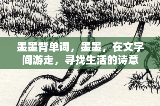 墨墨背单词，墨墨，在文字间游走，寻找生活的诗意