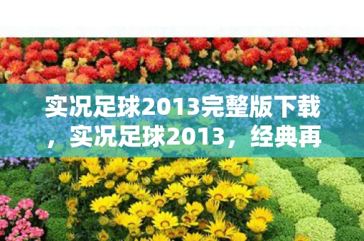 实况足球2013完整版下载，实况足球2013，经典再现，激情燃烧的岁月