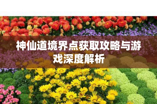 神仙道境界点获取攻略与游戏深度解析图片