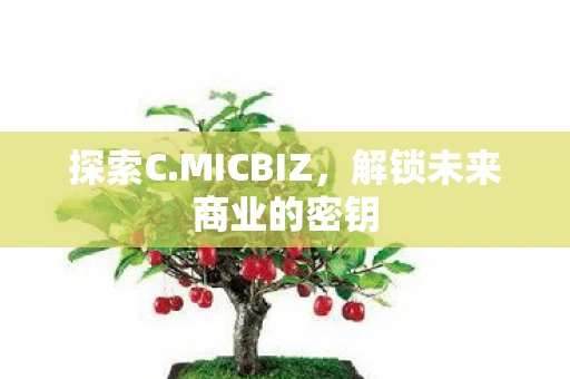 探索C.MICBIZ，解锁未来商业的密钥