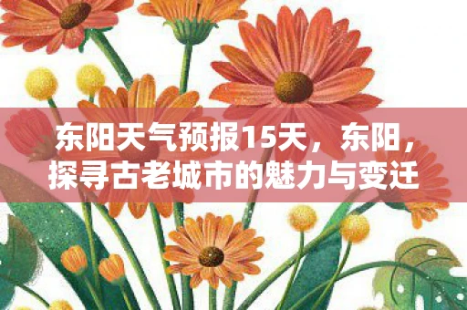 东阳天气预报15天，东阳，探寻古老城市的魅力与变迁