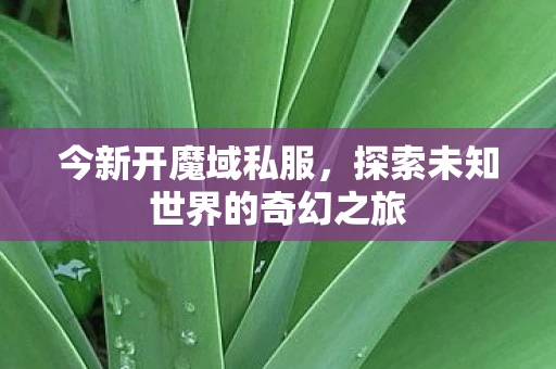 今新开魔域私服,探索未知世界的奇幻之旅 今新开魔域私服,探索未知世界的奇幻之旅