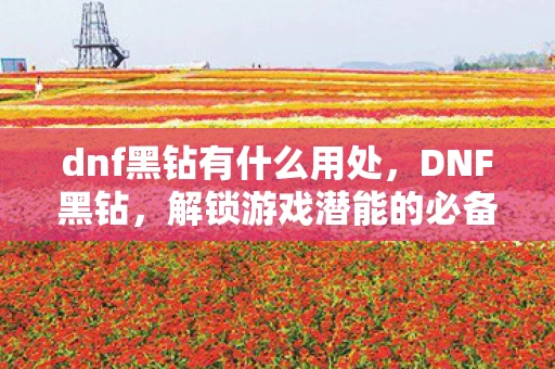 dnf黑钻有什么用处,DNF黑钻,解锁游戏潜能的必备神器 dnf黑钻有什么用处,DNF黑钻,解锁游戏潜能的必备神器