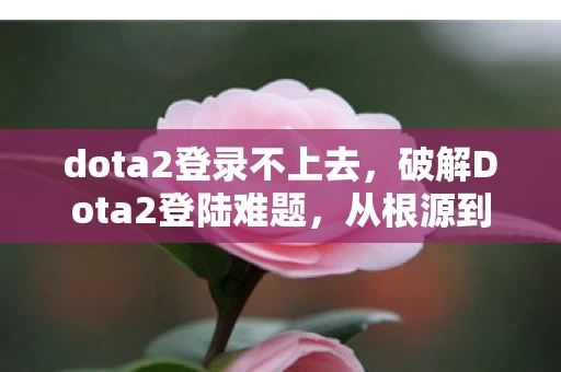dota2登录不上去，破解Dota2登陆难题，从根源到解决方案