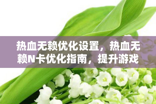 热血无赖优化设置,热血无赖N卡优化指南,提升游戏体验的必备技巧 热血无赖优化设置,热血无赖N卡优化指南,提升游戏体验的必备技巧
