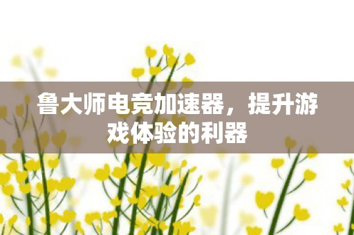 鲁大师电竞加速器,提升游戏体验的利器 鲁大师电竞加速器,提升游戏体验的利器