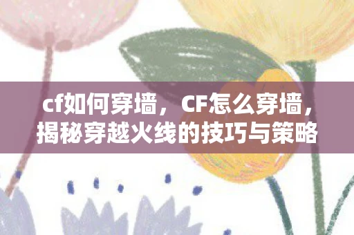 cf如何穿墙,CF怎么穿墙,揭秘穿越火线的技巧与策略 cf如何穿墙,CF怎么穿墙,揭秘穿越火线的技巧与策略