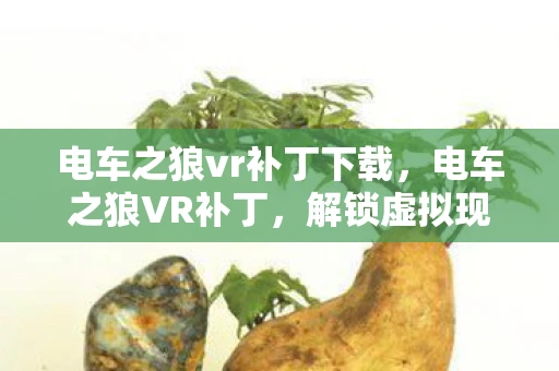 电车之狼vr补丁下载，电车之狼VR补丁，解锁虚拟现实的禁忌之狼
